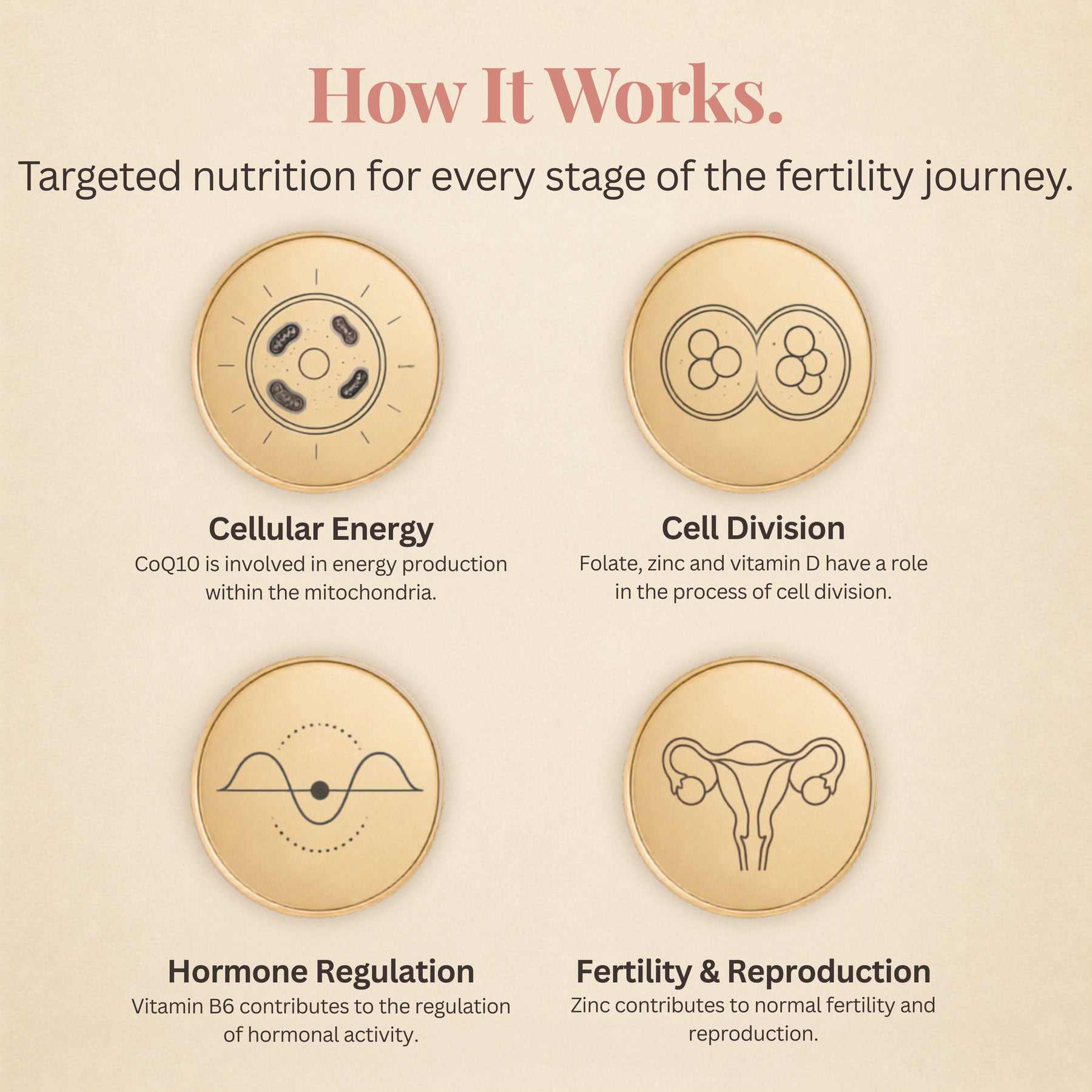 Fertility Advance
